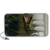 Lizards in Love Speaker System