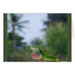 Lizards in the Hawaiian Sun cards