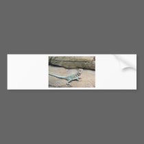 lizzard bumper stickers