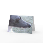 Lizzie's Close-up Cards
