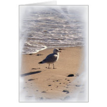 Lkes Long Walks on the Beach... Greeting Cards