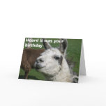 Llama birthday cards