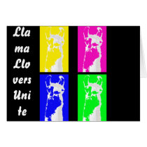 Llama Blocks in Bright Colours on everything