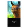 Llama Collectible Photo Card