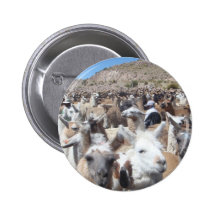 Llama Disco Pin