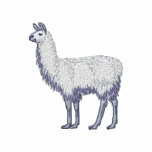 Llama embroidered shirts