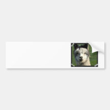 Llama Face Bumper Sticker