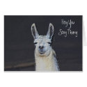 Llama Face Digital Art Humourous Birthday Card
