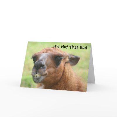 Llama Humourous 30th Birthday Greeting Card by SmilinEyesTreasures