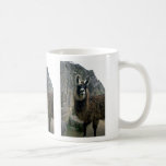 Llama In Peruvian Ruins Mugs