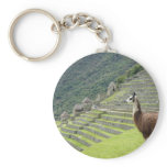 llama lands keychains