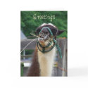 Llama Llunch, Greetings cards