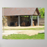 Llama Love Posters
