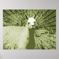 Llama Pop Art LARGER SIZES UNDER CUSTOMIZE