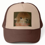 LLama, They say hair is over rated! Your havi... hats