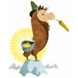 Llama t-shirts
