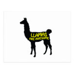 Llamas are awesome! postcard