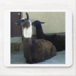 Llamas Mouse Pad