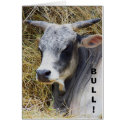 Load of Bull, BULL! cards