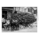 Load of Xmas Trees, 1910 Greeting Card