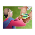 Loaves and Fishes postcards