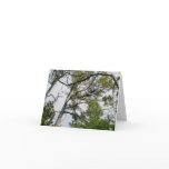 Lob Lolly Pine Trees OBX Note Card