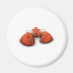 Lobster Magnets