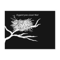 Local Nest on Black Postcard