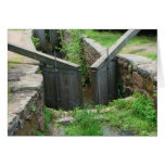 Lock 12 in Connecticut cards