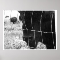 Locked up poster