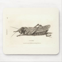 Locust print mouse pads