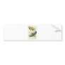 Locusta Cristata (lower), Locusta flava (upper) Bumper Stickers