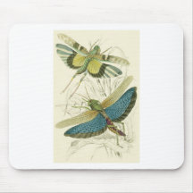 Locusta Cristata (lower), Locusta flava (upper) Mouse Pads