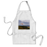 Lofty Ambition aprons