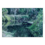 Log in River cards