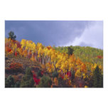 Logan Canyon in Utah in autumn with passing Art Photo