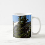 Logan Pass In Glacier National Park Mugs