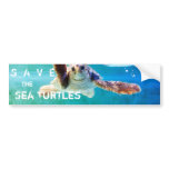 Loggerhead #4 Bumper Sticker bumper stickers