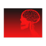 logicskull post card