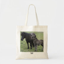 LOL Bag