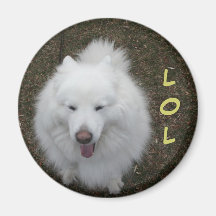 LOL MAGNET