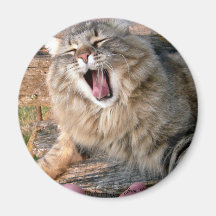 LOL Maine Coon Fridge Magnet
