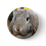 Lola Button