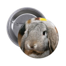 Lola Button