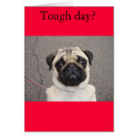 Lola feels your pain cards