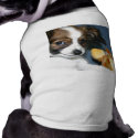 Lola Papillon Pup pet clothing