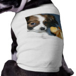 Lola Papillon Pup pet clothing