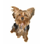 Lola the Yorkie t-shirts