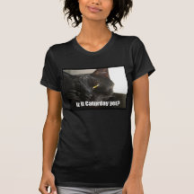 LOLCat 2 T-shirts