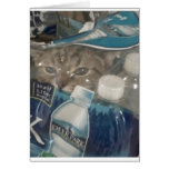 lolcat cards